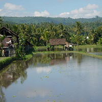 Photo de Bali - Banjar et Gitgit